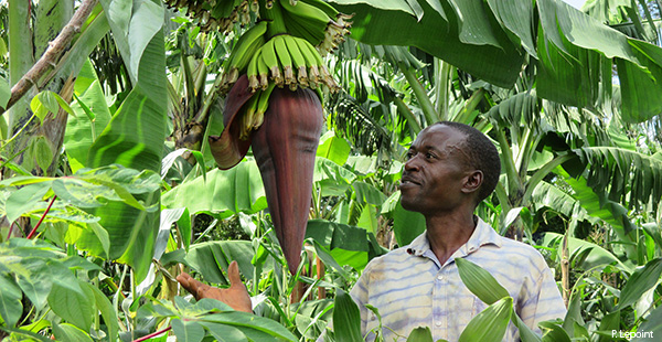 08 Burundian Farmer